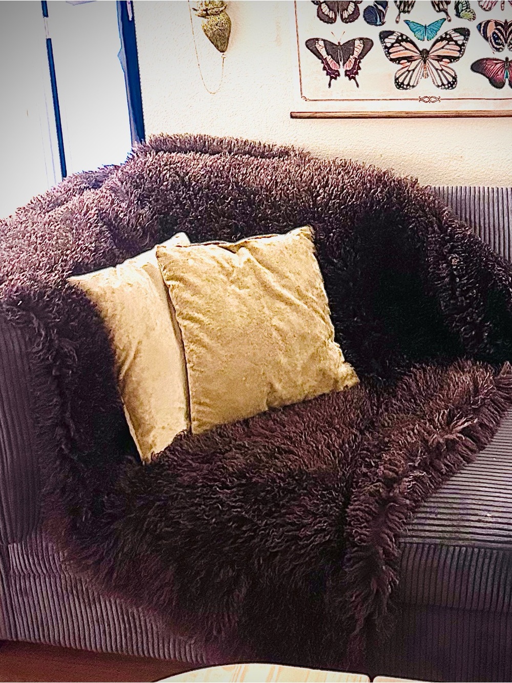 HUDSON PARK EXCLUSIVE Brown Mongolian Throw Blanket